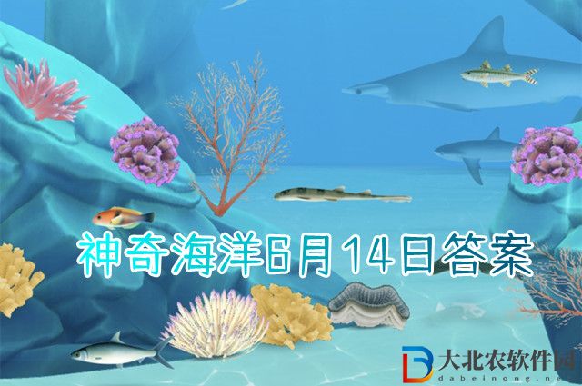 世界上最大的魚類是?神奇海洋6月14日答案
