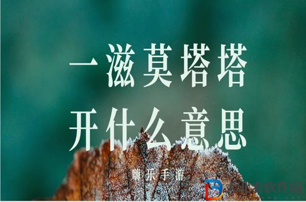 一滋莫塔塔開什么意思-一滋莫塔塔開梗來(lái)源出處