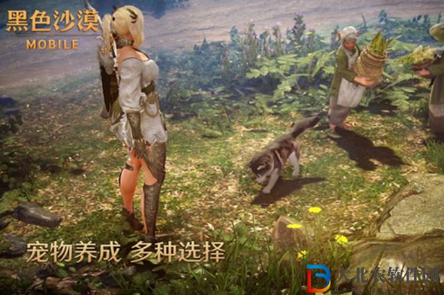 黑色沙漠手游怎么自動撿東西-自動拾取方法介紹