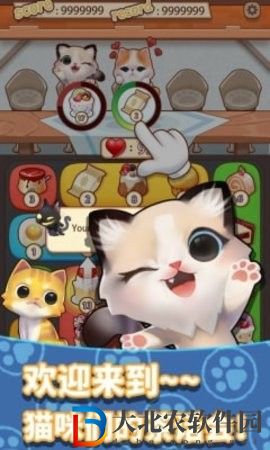 養(yǎng)只大肥貓