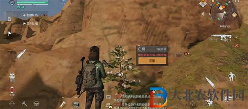 黎明覺醒白棉籽獲取方法攻略