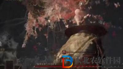艾爾登法環水鳥亂舞怎么躲-水鳥亂舞躲避方法介紹