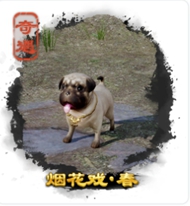 劍三奇遇大全-劍三奇遇觸發(fā)前置條件-劍網(wǎng)3所有奇遇攻略