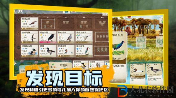 鳥類觀察家