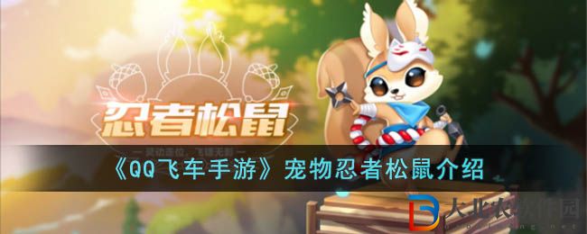 《QQ飛車手游》寵物忍者松鼠介紹