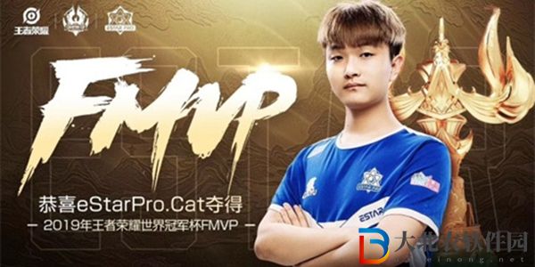 王者榮耀fmvp是什么意思-王者榮耀fmvp意思介紹