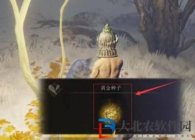 艾爾登法環黃金種子在哪-黃金種子位置介紹