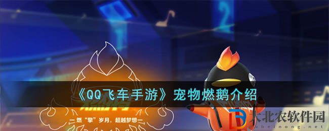 QQ飛車手游寵物燃鵝介紹 寵物燃鵝怎么樣