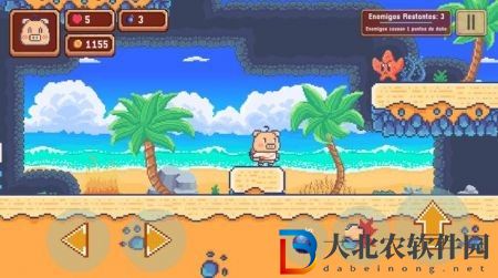 沙灘豬