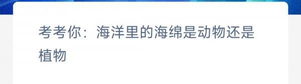 神奇海洋正確答案4.7-海洋里的海綿是動物還是植物