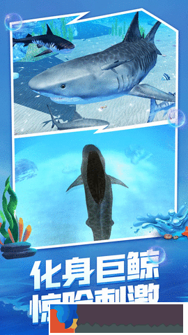 海底生存大獵殺