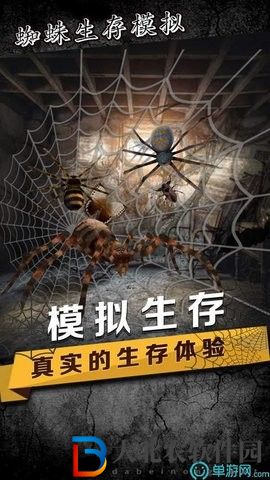 蜘蛛生存模擬器