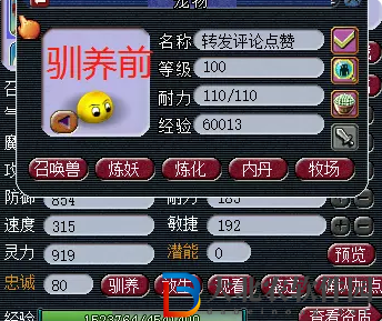 夢幻西游巫醫怎么收費