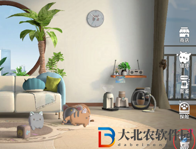 貓之城貓球怎么登記-貓之城貓球登記攻略