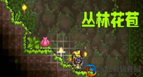 《泰拉瑞亞》世紀之花花苞多久刷新 花苞刷新時間介紹
