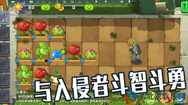 植物僵尸大作戰