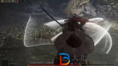 艾爾登法環水鳥亂舞怎么躲-水鳥亂舞躲避方法介紹