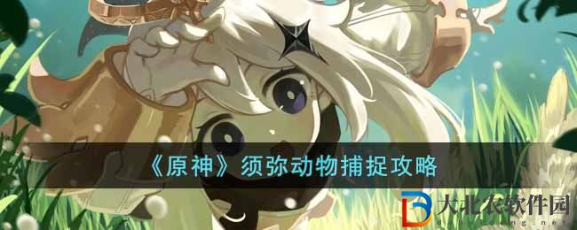 《原神》須彌動物捕捉攻略