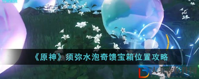 原神須彌水泡奇饋寶箱位置攻略 須彌水泡奇饋寶箱位置在哪里