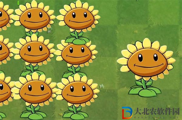 植物大戰僵尸2向日葵圖鑒-向日葵數據圖鑒