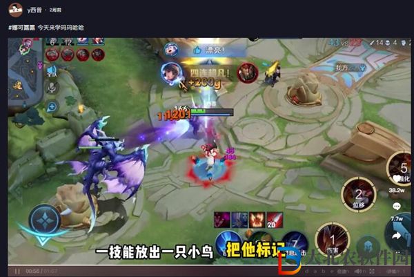 一技能放出一只小鳥把他標記原曲試聽
