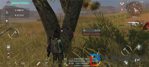 黎明覺醒生機杜松木在哪采集 黎明覺醒生機杜松木獲取途徑一覽