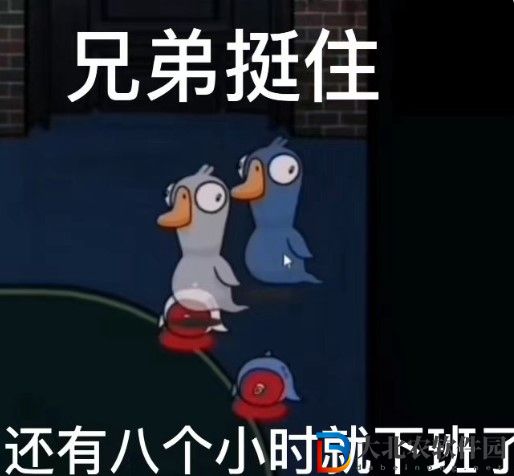 鵝鴨殺表情圖匯總-鵝鴨殺搞笑表情包高清