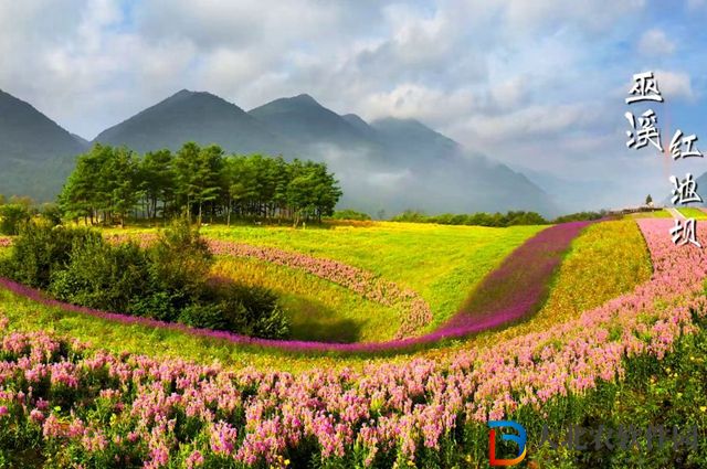 妄想山海太陽銘文怎么獲得-太陽銘文獲取方式一覽