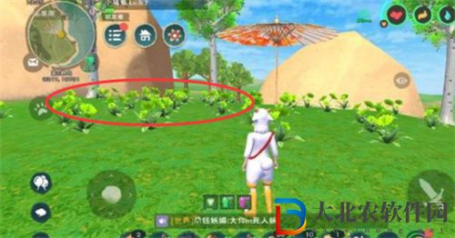 創(chuàng)造與魔法綠色的小花采集地點一覽
