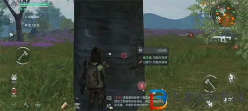 黎明覺醒生機白蠟木獲取攻略一覽