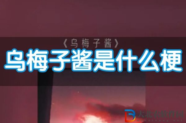 烏子梅醬是什么意思-烏子梅醬梗來源出處