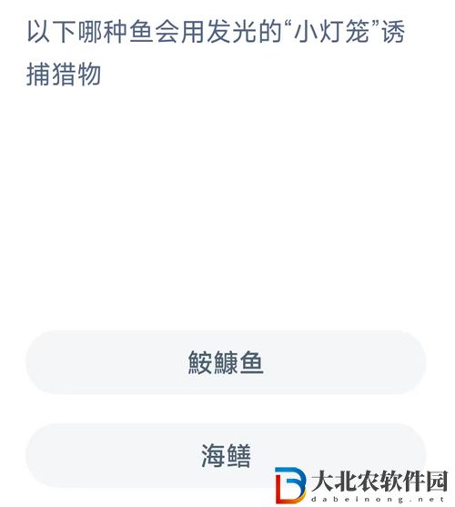 神奇海洋今日答案最新8.26-以下哪種魚會(huì)用發(fā)光的“小燈籠”誘捕獵物