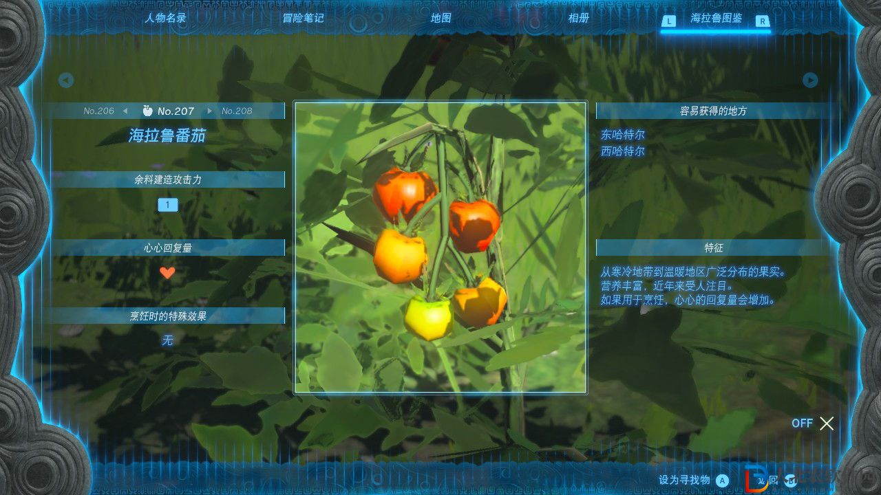 塞爾達(dá)傳說(shuō)王國(guó)之淚海拉魯番茄在哪里?塞爾達(dá)傳說(shuō)王國(guó)之淚海拉魯番茄位置分享