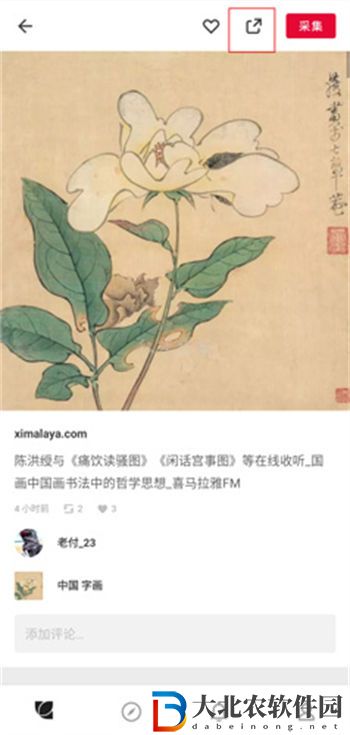 花瓣怎么保存圖片