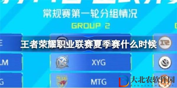 王者榮耀職業(yè)聯(lián)賽夏季賽什么時候