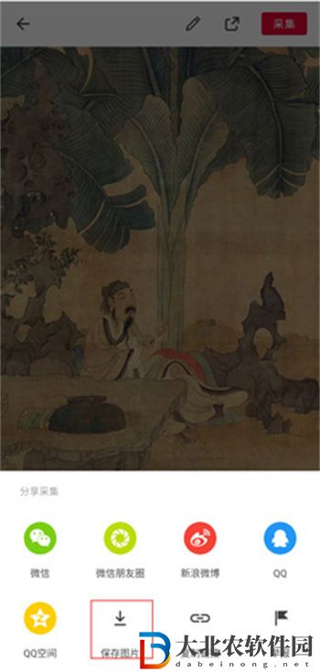 花瓣怎么保存圖片