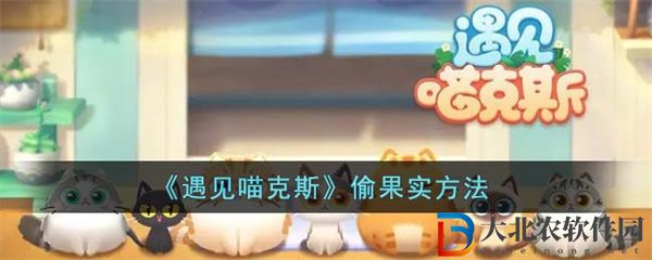 遇見喵克斯偷果實方法