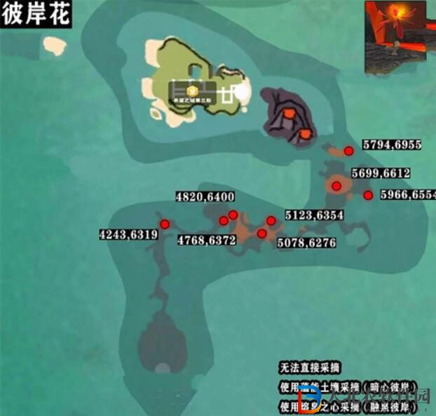 創造與魔法彼岸花刷新位置攻略