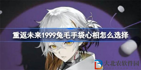 重返未來1999兔毛手袋心相怎么選擇
