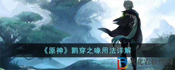 原神鹮穿之喙用法詳解