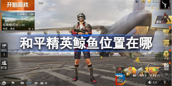 和平精英鯨魚位置在哪