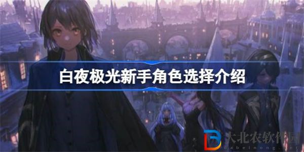 白夜極光新手抽哪個角色比較好