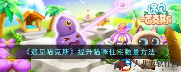 遇見喵克斯提升貓咪住宅數(shù)量方法