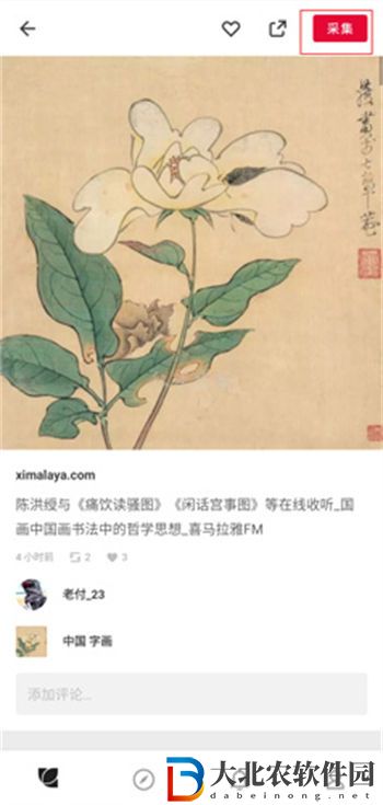 花瓣怎么收集素材