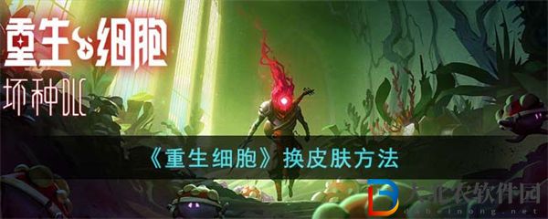 重生細胞換皮膚方法