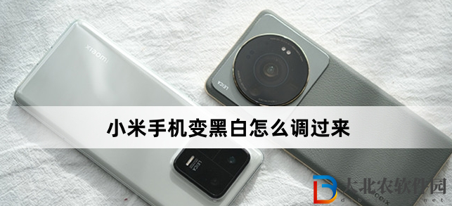 小米手機變黑白怎么調過來(小米手機變黑白調過來方法)