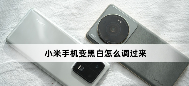 小米手機變黑白怎么調過來（小米手機變黑白調過來方法）