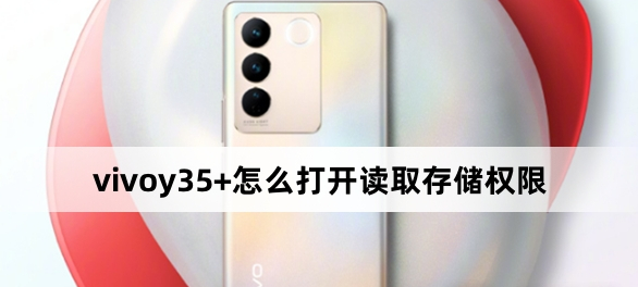 vivoy35+怎么打開讀取存儲權限？vivoy35+打開讀取存儲權限方法