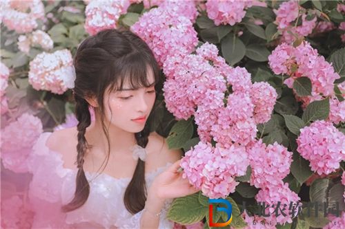 中文在線А√天堂**
入口