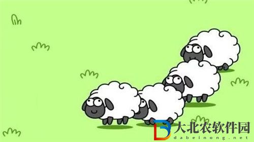 羊了個羊2月3日通關(guān)攻略